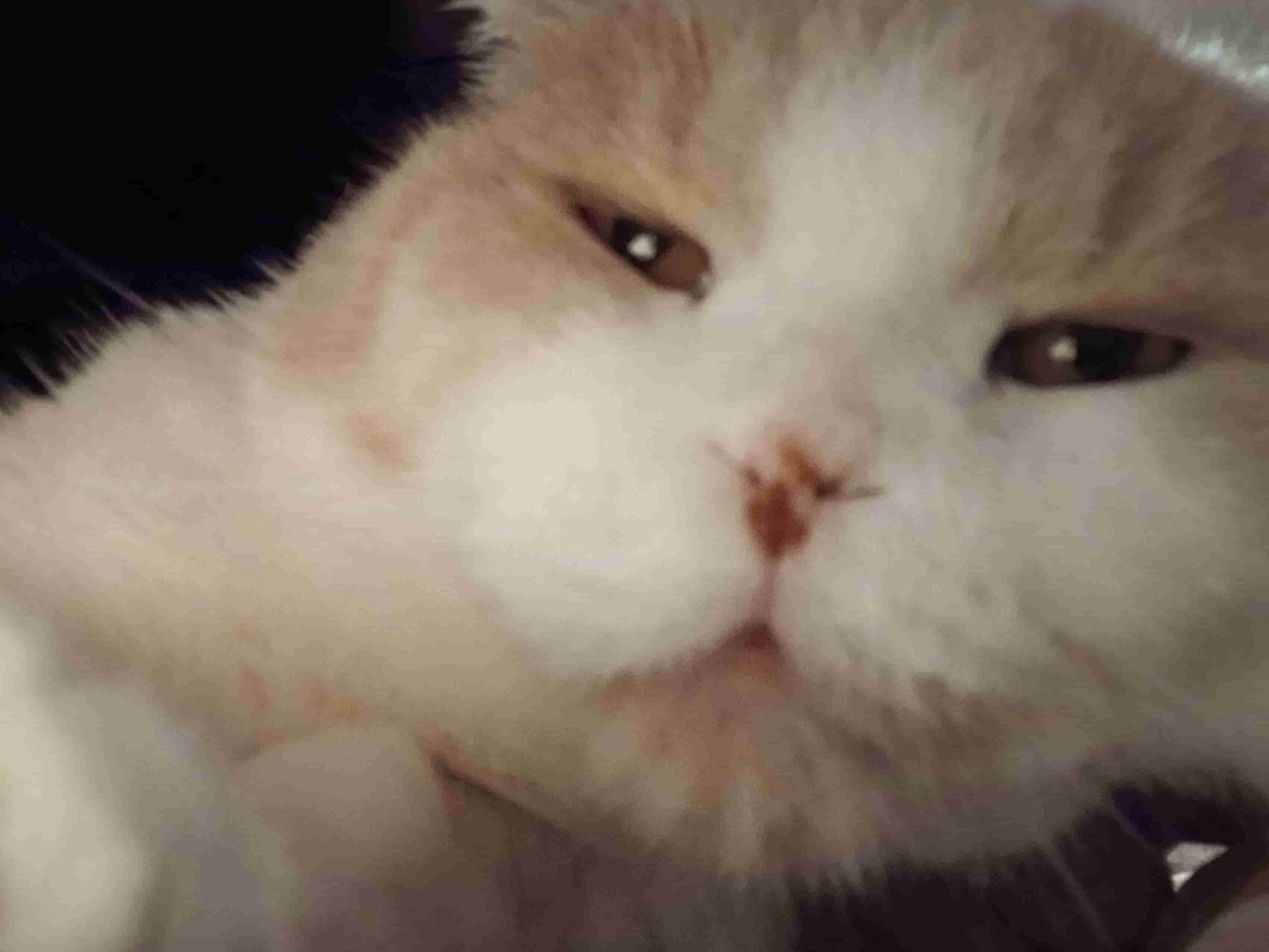 [Klepi's funny face]