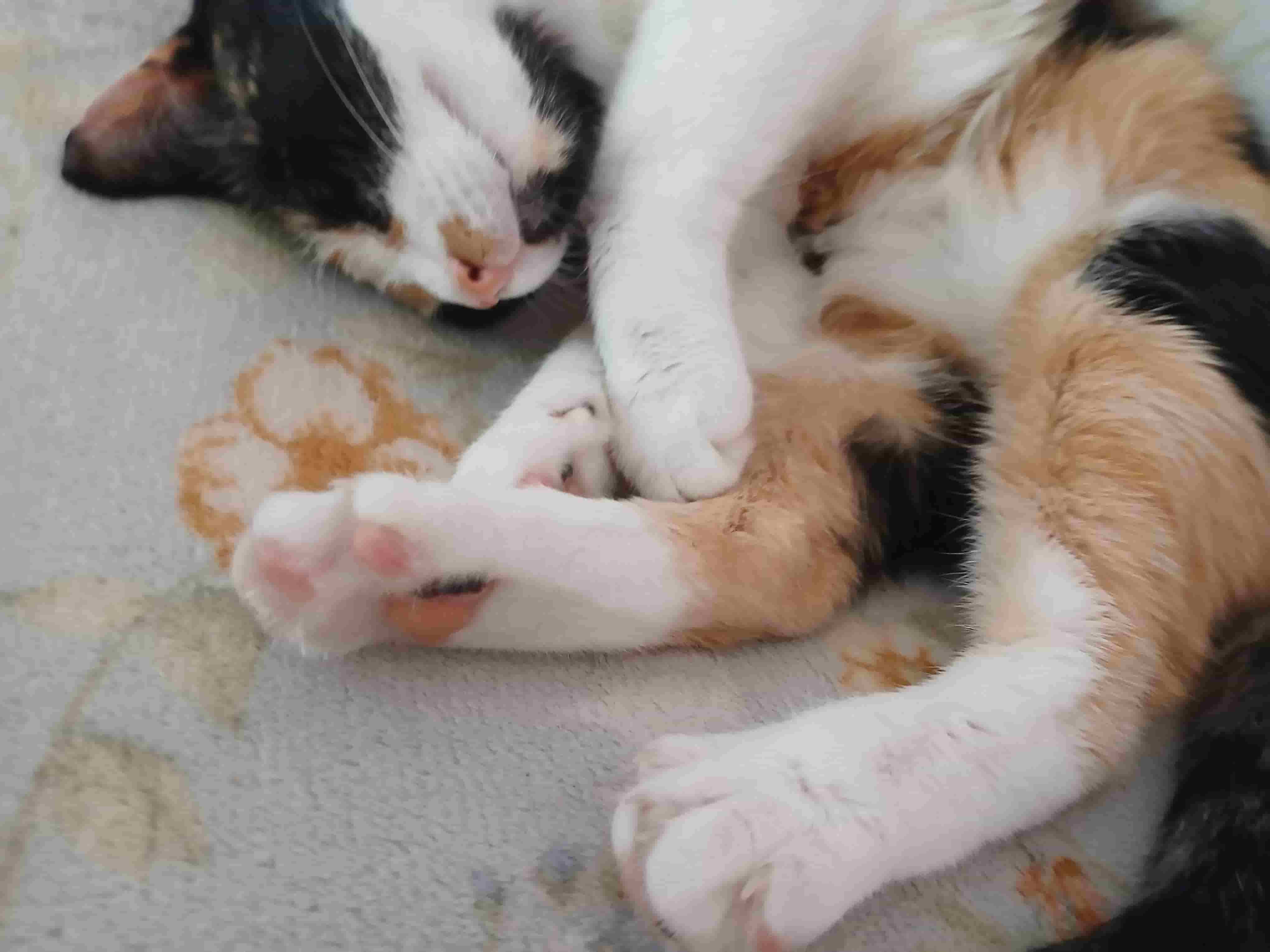 [Tita sleeping]