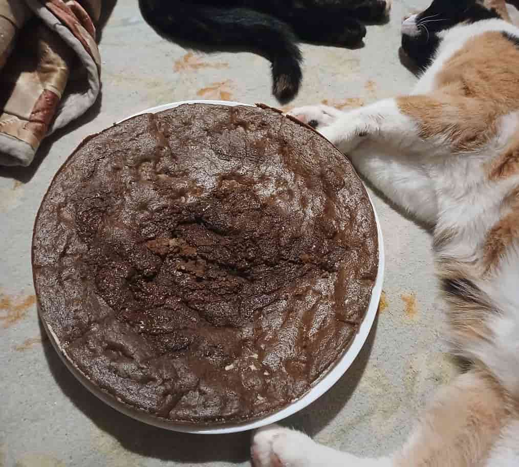 [Chocolate Banana Cake]